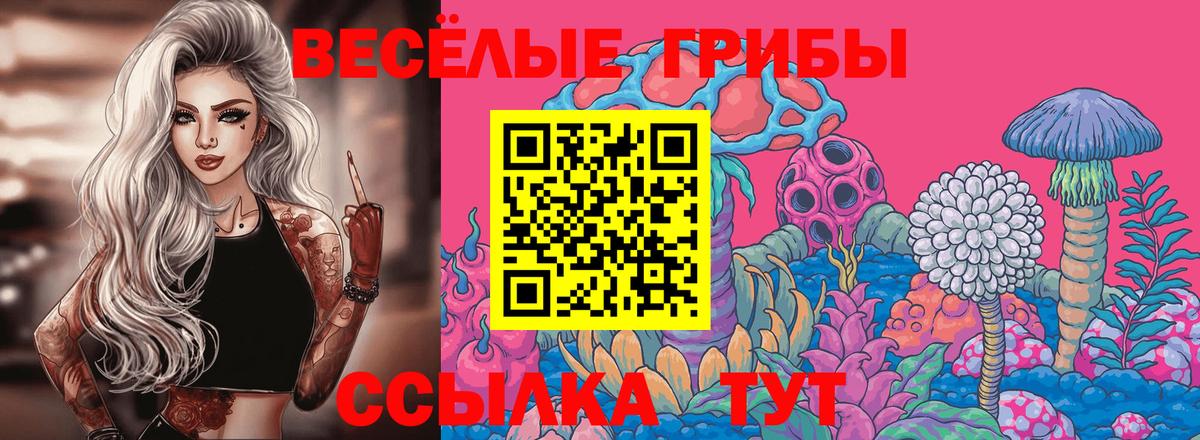 где купить наркоту  Вход с VPN  Луховицы  Галлюциногенные грибы мухоморы  Псилоцибиновые грибы Psilocybe 