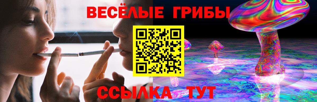 Галлюциногенные грибы Cubensis Луховицы